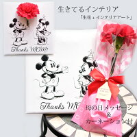 ディズニー花瓶 ミッキー ミニー ディズニー プリンセス アート 一輪挿し 花瓶 名...