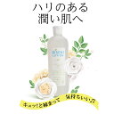 　ビセキローション510ml 　保湿　ハリ　キメ　弾力　ミスト　化粧水　潤い　うるおい　月桃エキス　プロ仕様　植物エキス 化粧下地　乾燥 乾燥肌 敏感肌 低刺激 amity biseki アミティ　ビセキ