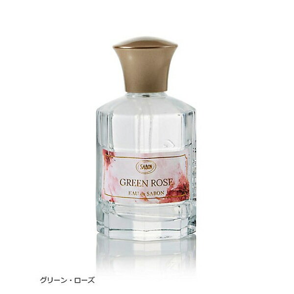 【マラソンP5倍★最大1500円OFFクーポン】【コーセー認定ショップ】スティーブンノル　プレミアムスリーク ヘアフレグランス）101g　コーセー