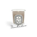 diptyque(ディプティック)ミニキャンドル フドブワ 70G／キャンドル　香りのコレクション: ウッディ　正規品