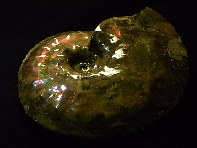 �����饤�ȸ���ɸ��