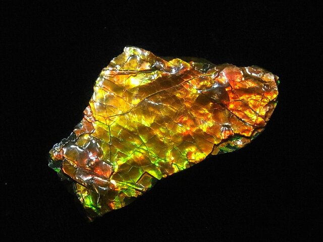 イエロー、オレンジ、グリーンのアンモライト色が観察できる原石破片です。 アンモライトの色や風合いに希望されているものがない場合は、他の在庫品の画像をお送り致しますので、お気軽にお問い合わせください。 　■ サイズと詳細 母岩サイズ 約47mm×30mm重量 17g 年代 7100万年前(白亜紀) 産地 カナダ・アルバータ州 保証書 アンモライト研究所発行保証書付　加工用アンモライト破片 【加工用アンモライト破片】 カナダ・アルバータ州レスブリッジで発掘されたアンモナイト実物化石（通称”アンモライト”）の良質部分を厳選して切り出し、加工しやすいように小さい破片にしたものです。 金具を自分でお付けいただくことでペンダントトップやアクセサリーとしてもお使いいただけます。 もちろん”お守り”として、そのままポーチや鞄に入れて、いつもお手元に置いておくこともいいかもしれません。 これらのアンモナイト加工用破片は、1点1点形、色、風合いが異なりますので、当研究所販売ルームでは、画像（写真）通りの商品をそのままお送りしております。「売り切れ」の表示が出ている場合は、恐れ入りますが、新たな商品画像がアップされるまで、しばらくお待ちください。又、アンモナイトの形、色や風合いに希望されているものがない場合は、他の在庫品の画像をお送り致しますので、お気軽にお問い合わせください。 アンモライトに関することであれば、どんなことでもお気軽にお問い合わせ下さい。アンモライトの研究機関又、専門店として誠実な対応に努めさせていただきます。 　アンモライトについて アンモライトは白亜紀（6500万年〜1億3500万年前）の後期に生息していたアンモナイトが化石化する過程で、その殻表面のアラゴナイト（真珠層を構成する物質）が何千万年の間、地中内の鉱物、圧力により影響を受け、イリデッセンス効果を発する化石宝石です。 まさに化石と宝石の両方の側面をもつ自然の造形物です。 ひとつとして同じ表情を持つことなく、見る角度によって様々な色彩が煌めいています。 世界ではじめて発見したのは、北米大陸の先住民族ブラックフットインディアンとされています。 アンモナイトの化石は世界各地で発見されていますが、宝石としての価値が認められる虹色に輝く良質のものは、地殻の成分や地圧など特殊な条件が揃ったカナダアルバータ州の7000万年の地層からのみ採掘されます。 まさにアンモライトは熱と圧力の絶妙なコンビネーションが地質学上この類稀な化石宝石を作り出したといえます。よって埋蔵量に限りがあるため、その価値が非常に高いものになっています。 アンモナイトの種(学名)は、世界中で1万種以上あると報告されていますが、その中でも、Placenticeras meeki（プラセンティセラス ミーキィ）という種のものとPlacenticeras intercalare（プラセンティセラス インターカラレ）という種のものとPlacenticeras costatum（プラセンティセラス コスタータム）という種のものがアンモライトになります。 近年では比較的Placenticeras intercalare（プラセンティセラス インターカラレ）種のアンモライトの発見が増えていますが、相対的に発掘量は減る傾向にあります。 膨大な時間をかけて生成された天然の産物であるこのアンモライトは、そういった意味で地球が偶然に生んだ非常に稀な自然の産物といえます。 宝石のほとんどが無機質鉱物ですが、真珠、琥珀、サンゴ、そしてアンモライトは有機質（生物起源)のGem Stoneです。 【虹色の輝きを放つアンモライト原石】欠けのない完全な形のアンモライト原石が発掘されるのは非常に稀である シャベルカーで掘った後の細かい丁寧な作業によりグレードの高いアンモライトを時間をかけて掘り出す 発掘したてのグレードの高いアンモライト原石片。これらを磨き加工してアンモライトジュエリーが作られる アンモライト研究所は、アンモライト原石・加工用アンモライト破片・ アンモライトジュエリー及び世界のアンモナイト化石関連商品の専門店です。 手に取ってご覧いただける実店舗【アンモライト研究所ショールーム】は東京・ 高輪にございます。