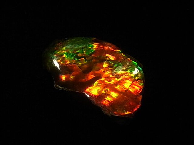 【送料無料】アンモライト 破片・欠片(かけら）稀少な カナダ アルバータ州 レスブリッジ産 アンモナイト 実物 レア 化石アンモライト研究所 発行 【蘇る太古の秘宝】 にも解説されている 自然が生んだ 美しき色