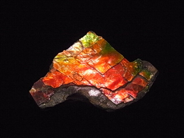 ������̵���ۥ����饤�� ���ҡ�����(������˵����� ���ʥ� ����С������쥹�֥�å��� �����ʥ��� ��ʪ �쥢 ���Х����饤�ȸ���� ȯ�� ���ɤ����Ť������� �ˤ���⤵��Ƥ��� ����������� ��������