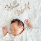 木製 レター バナー Hello World Just Born ニューボーンフォト アイテム 寝相アート 新生児 赤ちゃん ベビー グッズ マタニティ ウッド 誕生 出産 準備 月齢 カード 命名書 wood 誕生日 Birthday たんじょう プロップス banner ガーランド 入院 photo ギフト New [A]