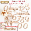 お値段そのまま追加パーツプレゼント!木製 〈毎日・毎月・毎年使える〉 マンスリー カード 月齢 フォト レターバナー 木製バナー 月齢カード ベビー マタニティ...