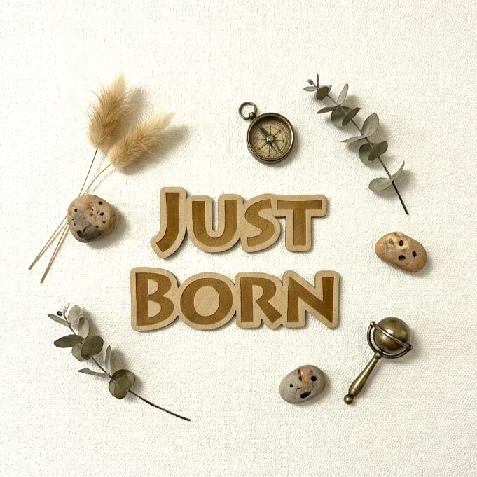 木製 レター バナー Just Born ニューボーンフォト 男の子 女の子 アイテム 寝相アート 月齢アート 飾りつけ レターバナー 新生児 赤ちゃん ベビー グッズ 記念写真 背景 撮影 小物 ウッド 月齢 カード 誕生日 飾り付け ニューボーン ジャストボーン Birthday New