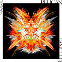 CD / PELICAN FANCLUB / ディザイア (CD+DVD) (初回生産限定盤) / KSCL-3280(2)
