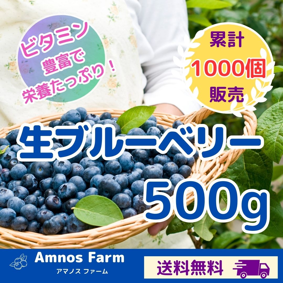 【大粒 無農薬】 完熟 生ブルーベリー 500g ( 250g×2パック ) 箱入り ブルーベリー 国産 フルーツ 果物 千葉県産 農薬不使用 大粒 贈答 くだもの お取り寄せ 先行予約 アントシアニン 食物繊維 ギフト プレゼント 人気