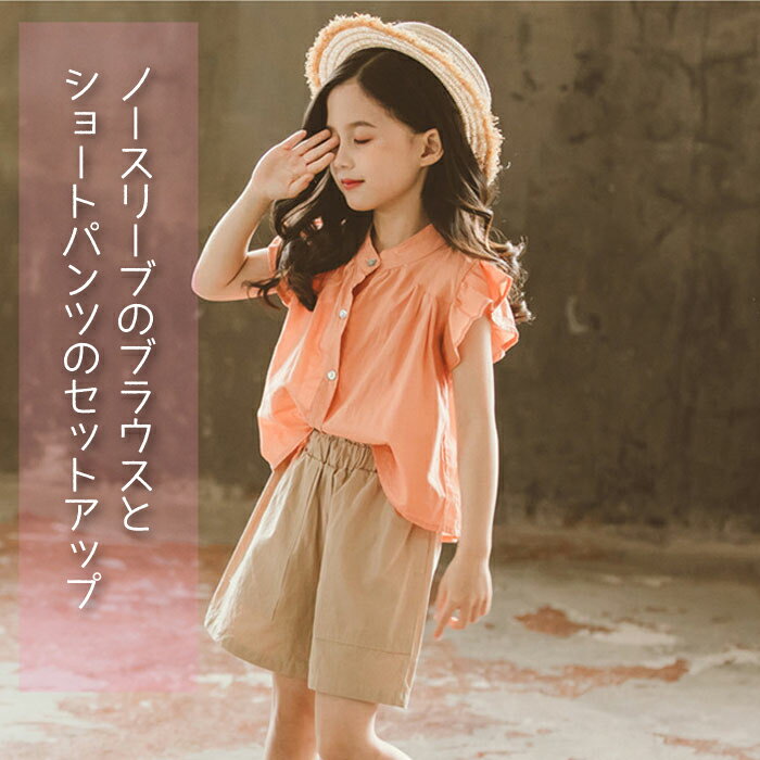 ���λ� �����륺 �岼���å� ���åȥ��å� ���å����åȥ��å� �Ҷ��� �ڹ� �͵� ���ش� ������ �̳� ���å� �֥饦�� �Ρ����꡼�֥���� �ե�� �ȥåץ� ���硼�ȥѥ�� Ⱦ���ܥ� �İ��� ��ä��� ���줤�� ����̵��