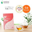  産後バランスブレンド（30包）産後イライラ専用ハーブティー ハーブティー お茶 ティーバッグ ノンカフェイン 産後 pms ホルモン イライラ うつ 英国オーガニック認証 授乳 出産祝い ギフト アモマ アモーマ AMOMA