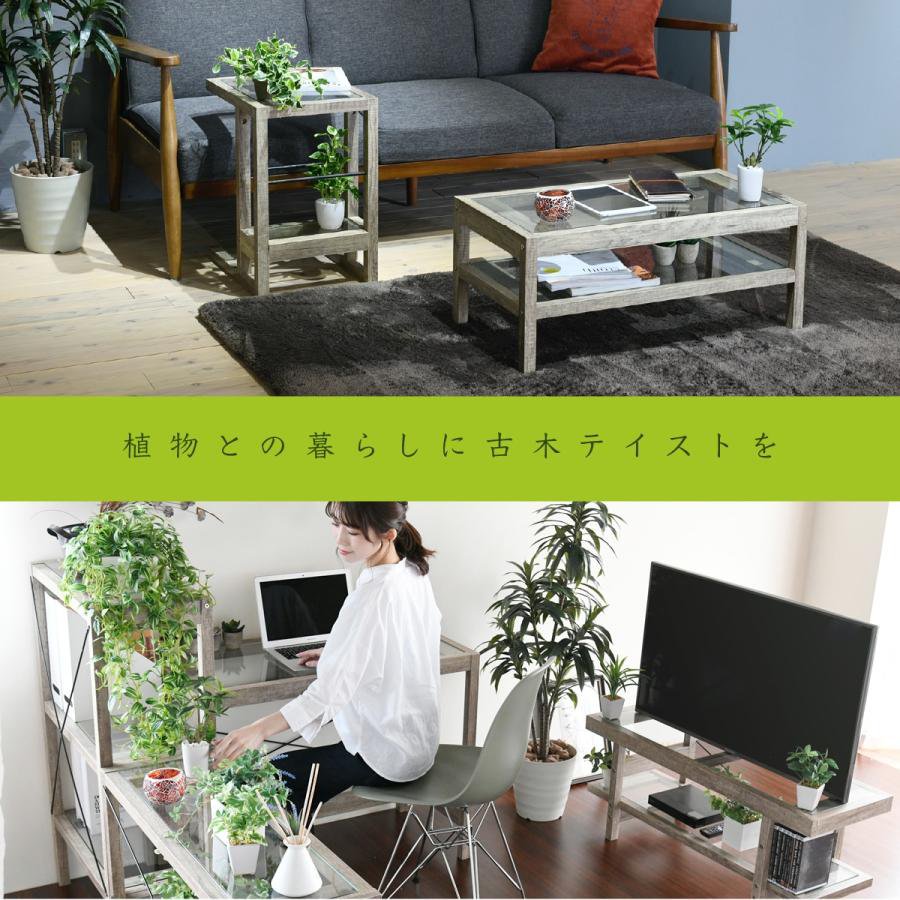 グリーンインテリア スタンドミラー 姿見 ガラス インテリア グリーン 観葉植物 シャビー 多肉植物 棚 ラック おしゃれ シンプル 一人暮らし 木製 古材 [2]