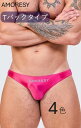 AMORESY アモレシー公式 スイミングパンツ Tバック ビキニ 無地 極薄 UV防止 夏用 Sliktex Superfine 男性下着 水着 吸湿通気 ア...