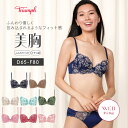 WEB限定[トリンプ]美胸ソフトブラ クラッシー ペタルズ ブラ＆ショーツセット【D,E,Fカップ】WHU + Hikini 34 Y3 S1 RL1 大きいサイズ ラージサイズ 下着 谷間