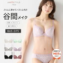 アモスタイル インナー 下着 [アモスタイル]デイジーレース きゅっと寄せブラ ブラ＆ショーツセット【B,C,Dカップ】AMST1150 WHU3 + Hikini JX