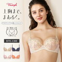 [トリンプ]天使のブラ(R) 魔法のハリ感596 ブラジャー【B,Cカップ】TR596 WHU