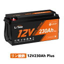 LiTime 12V 230Ah Plus リン酸鉄リチウムイオンバッテリー 内蔵200AのBMS 最大2944Whエネルギー 10年使用可能 LiFePO4バッテリー ソーラー発電システム、RV、キャンプ、ボート、家庭用エネルギー貯蔵に最適