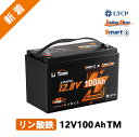 【新製品★Bluetooth機能付き】LiTime 12V 100Ah TM リン酸鉄リチウムイオンバッテリー Bluetooth機能 低温保護 100A BMS内蔵 Group31サイズ LiFePO4 トローリングモーター ヨット 船舶 ボート キャンピングカー 車中泊 車用サブバッテリー 家庭用予備電源に適用