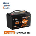 【新製品★Bluetooth機能付き】LiTime 12V 100Ah TM リン酸鉄リチウムイオンバッテリー Bluetooth機能 低温保護 100A BMS内蔵 Group31サイズ LiFePO4 トローリングモーター ヨット 船舶 ボート キャンピングカー 車中泊 車用サブバッテリー 家庭用予備電源に適用