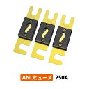 LiTime ANLヒューズ 12V/24V 250A 蓄電池システムなど適用 自動車 バイク オーディオサブウーファー 用品 3個入り 日本語説明書付き 2年保証付き