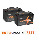 【2SET】LiTime 12V 100Ah TM リン酸鉄リチウムイオンバッテリー グループ 31 アップグレードされたBMS トローリングモーター ディープ...