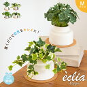 フェイクグリーン Mサイズ おしゃれ 観葉植物 クローバー アイビー モンステラ シュガーバイン リビング ダイニング インテリア ナチュラル 消臭 抗菌 CT...