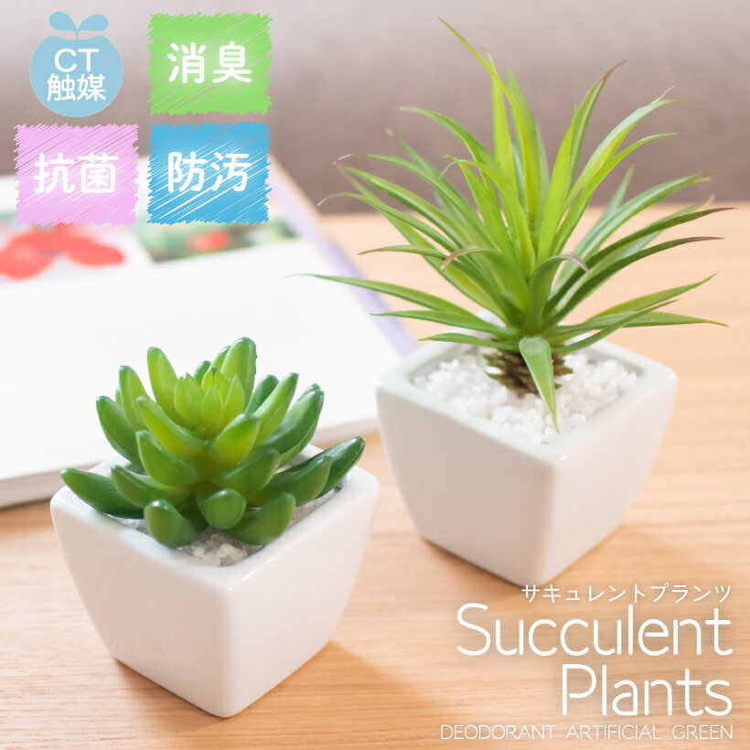 フェイクグリーン 人工観葉植物 造花 多肉植物 おしゃれ リビング ダイニング 玄関 キッチン トイレ ナチュラル 雑貨 グリーン 消臭 防汚 抗菌 寄せ植え CT触媒 ギフト 母の日 Succulent Plants サキュレントプランツ