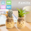 フェイクグリーン 多肉植物 サボテン 風水 人工観葉植物 造花 消臭アーティフィシャルグリーン おしゃれ 厄除け リビング ダイニング 玄関 キッチン トイレ ...