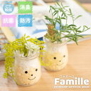 フェイクグリーン 多肉植物 サボテン 風水 人工観葉植物 造花 消臭アーティフィシャルグリーン おしゃれ 安らぎ リビング ダイニング 玄関 キッチン トイレ ...
