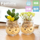 フェイクグリーン 多肉植物 サボテン 風水 人工観葉植物 造花 消臭アーティフィシャルグリーン おしゃれ 対人運 リビング ダイニング 玄関 キッチン トイレ ...