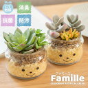 フェイクグリーン 多肉植物 サボテン 風水 人工観葉植物 造花 消臭アーティフィシャルグリーン おしゃれ 対人運 リビング ダイニング 玄関 キッチン トイレ ...