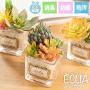 フェイクグリーン 多肉植物 サボテン パステル 人工観葉植物 造花 消臭アーティフィシャルグリーン おしゃれ リビング ダイニング 玄関 キッチン トイレ ナチ...
