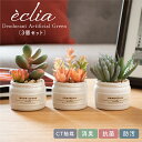 フェイクグリーン 多肉植物 寄せ植え 人工観葉植物 造花 おしゃれ かわいい リビング ダイニング キッチン 玄関 寝室 トイレ ナチュラル 消臭 防汚 抗菌 ...
