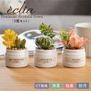 フェイクグリーン 多肉植物 寄せ植え 人工観葉植物 造花 おしゃれ かわいい リビング ダイニング キッチン 玄関 寝室 トイレ ナチュラル 消臭 防汚 抗菌 ...