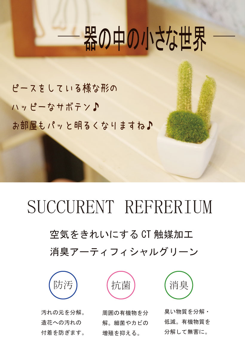 CT触媒 サキュレントリフレリウム フェイクグ...の紹介画像2