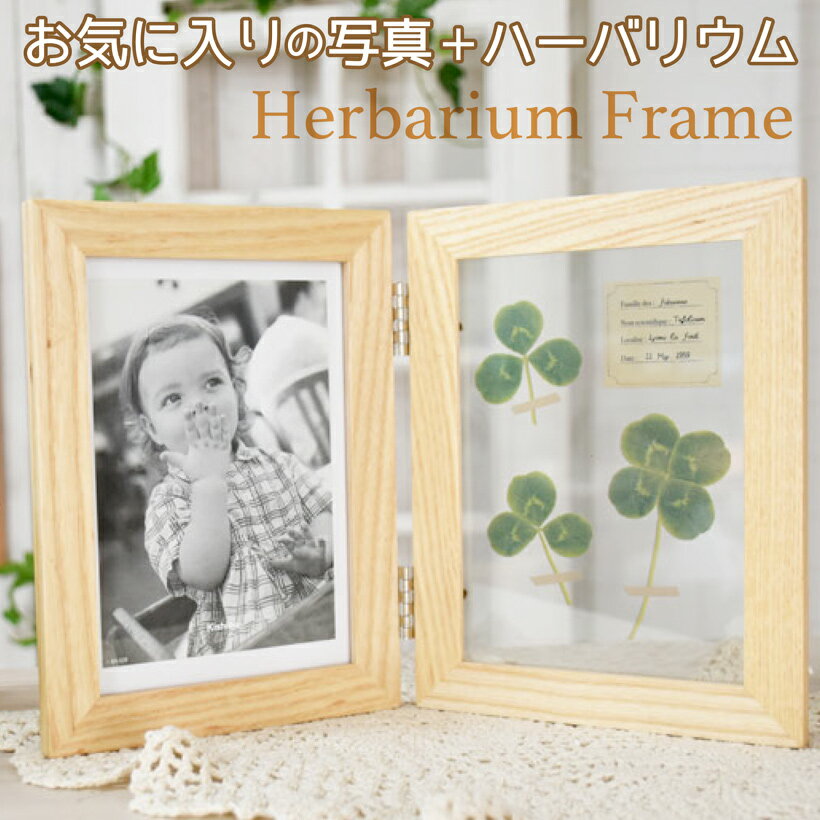 フォトフレーム おしゃれ 写真立て ポストカード ハガキサイズ HERBBARIUM ハーバリウムフォトフレーム..