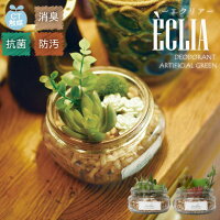 ECLIA エクリア フェイクグリーン 消臭アーティフィシャルグリーン おしゃれ 造花 サボテン コケ 多肉植物 リビング ダイニング 玄関 キッチン トイレ ナチュラル 雑貨 グリーン 消臭 防汚 抗菌 寄せ植え ギフト