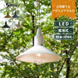  饤 ȥɥ  LED Ӽ ɿ   뤤 ϥ󥰥 ڥ 󥿥  ŵ 50롼 襤 ɺ    ѥ Ѿ׷   å HANG LAMP TYPE2 ݥȥͥ 982070014-0016