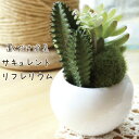 フェイクグリーン おしゃれ 多肉植物 サボテン 造花 抗菌 防汚 消臭 CT触媒 消臭アーティフィシャルグリーン 磁器 インテリア雑貨 リビング ダイニング 玄...