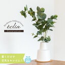 フェイクグリーン ユーカリ おしゃれ 観葉植物 リビング ダイニング インテリア ナチュラル シンプル 消臭 抗菌 CT触媒 鉢植え ギフト ECLIA Lサイ...