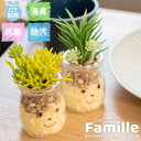 フェイクグリーン 多肉植物 サボテン 風水 アエオニウム ヒメミドリ 人工観葉植物 造花 消臭アーティフィシャルグリーン おしゃれ リビング ダイニング 玄関 ...