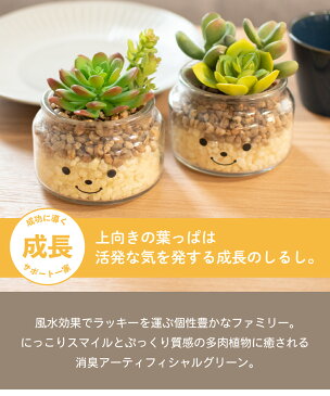 フェイクグリーン 多肉植物 サボテン 風水 フクムスメ シチフクジン 人工観葉植物 造花 消臭アーティフィシャルグリーン おしゃれ リビング ダイニング 玄関 キッチン トイレ ナチュラル 寄せ植え CT触媒 ギフト Famille ファミーユ Lサイズ