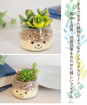 フェイクグリーン 多肉植物 サボテン 風水 フクムスメ シチフクジン 人工観葉植物 造花 消臭アーティフィシャルグリーン おしゃれ リビング ダイニング 玄関 キッチン トイレ ナチュラル 寄せ植え CT触媒 ギフト Famille ファミーユ Lサイズ