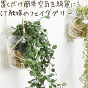 フェイクグリーン 壁掛け ハンギング おしゃれ ツタ 観葉植物 フェイク リビング ダイニング インテリア 造花 CT触媒 消臭 防汚 抗菌 鉢植え ガラス 多...