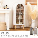 【送料無料】 ROOM ESSENCE Vol.29 ストレージ PT-621 コレクションシェルフ