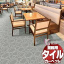 川島織物セルコン 業務用 タイルカーペット ピクタ リング II AB650 全厚9.5mm 寸法50×50cm 16枚入り/ケース