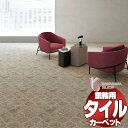 川島織物セルコン 業務用 タイルカーペット ピクタ モロッコ II AB650 全厚9.5mm 寸法50×50cm 16枚入り/ケース