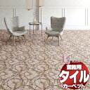 川島織物セルコン 業務用 タイルカーペット ピクタ リピート II AB650 全厚9.5mm 寸法50×50cm 16枚入り/ケース