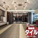 川島織物セルコン 業務用 タイルカーペット ピクタ ウィンドウ II AB670 全厚9.5mm 寸法50×50cm 16枚入り/ケース