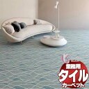 川島織物セルコン 業務用 タイルカーペット ピクタ ウェーブレット II AB680 全厚9.5mm 寸法50×50cm 16枚入り/ケース